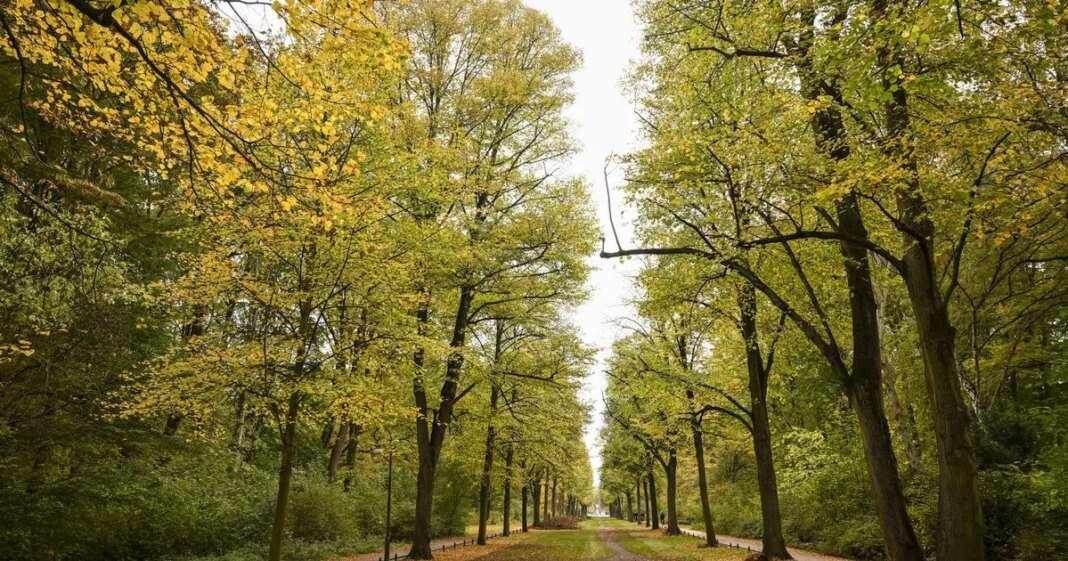 0_autumn-colors-in-berlin